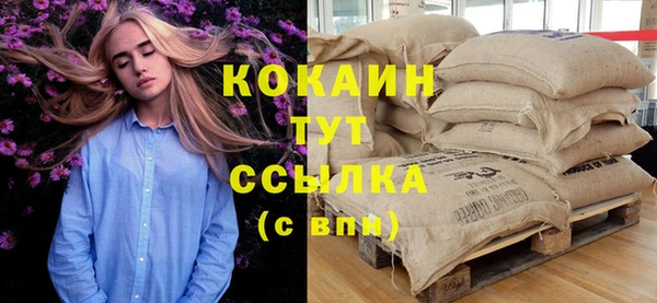 дурь Покачи