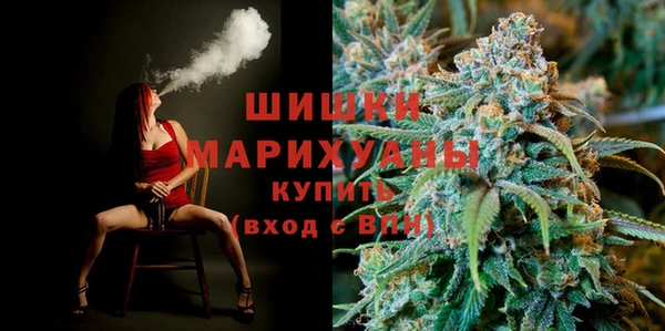 дурь Покачи