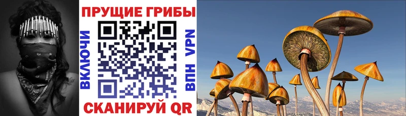 Купить  Саянск  Псилоцибиновые грибы MAGIC MUSHROOMS 
