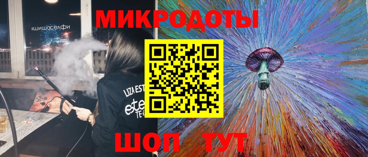Псилоцибиновые грибы Psilocybe Саянск