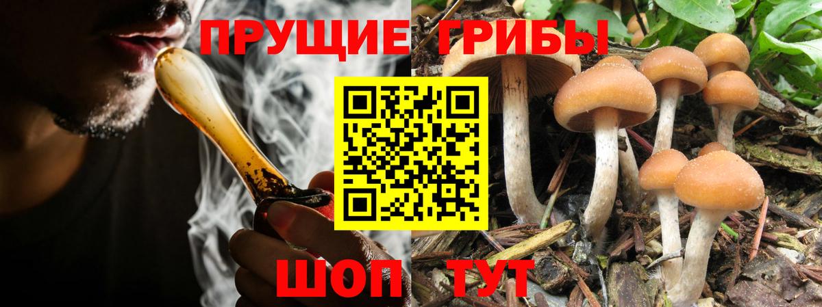 Саянск  Галлюциногенные грибы Magic Shrooms  Псилоцибиновые грибы Magic Shrooms  Вход с VPN 