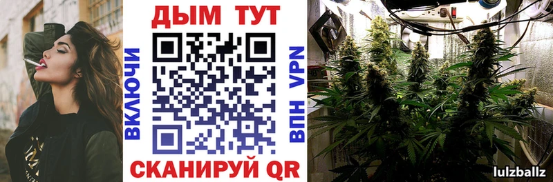 Купить где  Саянск  Канабис SATIVA & INDICA 